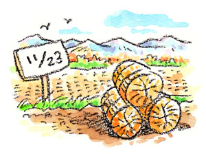 第57話 無量義経の段 その十五（二）「十一月二十三日の真実」